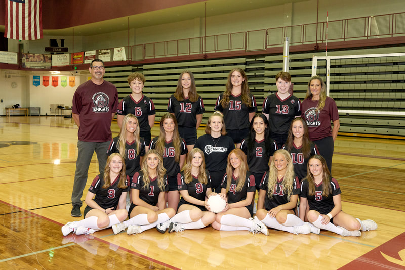 Volleyball Wln 2022 Teampic 
